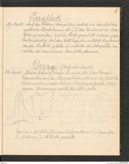 Seite 7, Tagebuch "Palästina" (NHMW-PRAE-BBB-81)